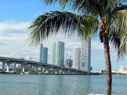 Scopri racconti, foto e consigli di migliaia di viaggiatori e le migliori offerte per organizzare il tuo viaggio, e condividi le tue esperienze con gli altri turisti per caso Miami Florida Una Fotodiviaggio Di Regi Da Turistipercaso Foto Di Viaggio Florida Miami