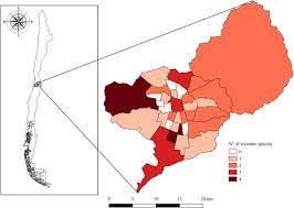 Urban Public Squares As Potential Hotspots Of Dog Human Contact A Spatial Analysis Of Zoonotic Parasites Detection In Gran Santiago Chile Sciencedirect