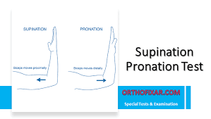 Image result for Elbow Exam