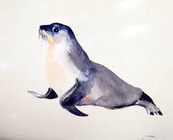 Sea Lion Original Watercolor Painting 9 X 11 In By Originalonly 22 00 Ilustracion Acuarela Foca Acuarela