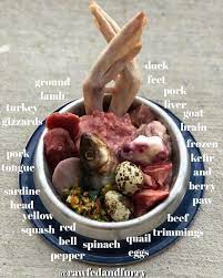 Bestwoof Dogsofinstagram Dailyfluff Bestwoof Puppy Socutetho Ilovemydog Mansbestfriend D Dog Food Recipes Raw Dog Food Recipes Healthy Dog Food Recipes