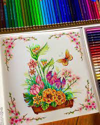 Ivy and the inky butterfly colouring competition. Pin On World Of Flowers