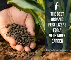 Oh, and be sure to check out these other gardening hacks that will save you time and money. Best Organic Fertilizers For A Vegetable Garden Home And Gardening Ideas