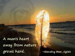 When a man moves away from nature his heart becomes hard. Native American Quotes About Nature Quotesgram