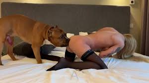 K9 porn
