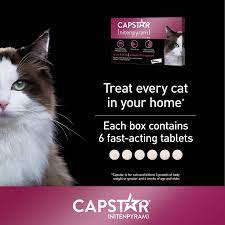 Walmart.com has been visited by 1m+ users in the past month Capstar Fast Acting Oral Flea Treatment For Cats 6 Doses Walmart Com Walmart Com