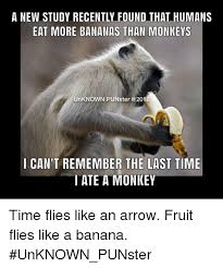 Time Flies Like An Arrow Fruit Flies Like A Banana Pun Memes Arrow And Banana A New Study Recently Found That Humans Eat More Bananas Than Monkeys Unknown Punster 201 I Can T Remem Fruit Flies Make Me Laugh Eat