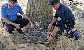 29,331 likes · 42 talking about this. Trapani Castellammare Del Golfo I Carabinieri Forestali Arrestano Un Bracconiere Per Furto Venatorio Liberta Sicilia