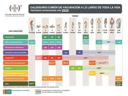 Información oficial sobre la vacunación contra el nuevo coronavirus. La Vacunacion En Tiempos De Covid 19 Adolescenciasema