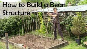 Runner beans are one of the most reliable vegetables to grow. How To Build A Strong And Sturdy Bean Structure Youtube
