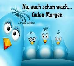Entdecke tolle guten morgen sprüche, um wunderbare in den tag zu starten. Guten Morgen Guten Morgen Gruss Lustige Guten Morgen Grusse Guten Morgen