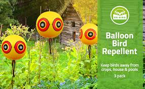 Robins are protected under the federal migratory bird act which states that once an egg is laid in a nest, the nest is to remain intact until the hatchlings have left. Amazon Com De Bird Balloon Bird Repellent 3 Pk Fast And Effective Solution To Pest Problems Scary Eye Balloons Keep Birds Away From House Garden Crops Swimming Pools More