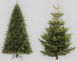 Melbourne has put on a huge holiday display, and you barely have to leave the cbd to get your fill. Are Real Or Plastic Christmas Trees More Eco Friendly Smooth