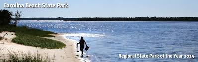 carolina beach state park nc state parks