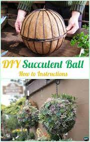 diy hanging succulent ball sphere planter instruction indoor garden ideas projects succulents plants iron wall basket