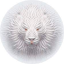 Animal Spirit On Behance Kartiny Zhivotnyh 3d Risunki Hudozhniki