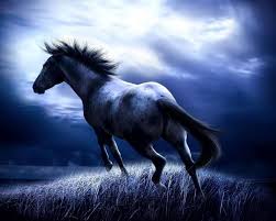 10 Of Lovely Best Wallpaper Hd Download For Android Mobile 2k In 2020 Horse Wallpaper Horses Beautiful Horses