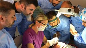 What Are The Hair Transplantation Stages Hair Transplant