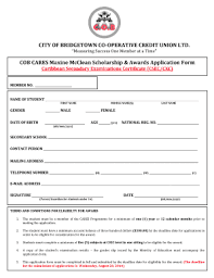 Leave a reply cancel reply. Scholarship Application Form Download Fill Online Printable Fillable Blank Pdffiller