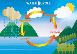 water cycle diagram free vector art 48 free downloads