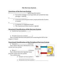 Structural Classification Of The Nervous System