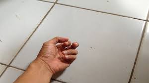 Namun jika rusak, baik lantai keramik dan lantai vinyl tidak bisa diperbaiki sehingga harus diganti dengan yang baru. 6 Alternatif Lantai Indoor Selain Keramik Gallery Parquet