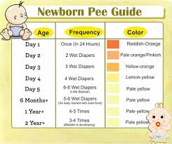 Your Complete Guide To How Often Newborn Babies Pee Baby