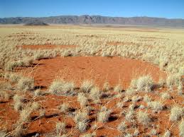 The origins of these 'fairy circles' remain obscure, and have been attributed to causes ranging from the fantastic (the poisonous breath of a subterranean dragon) to those backed by more evidence, such as the work of a soil termite. Namibian Fairy Circles From Start To Finish The New York Times