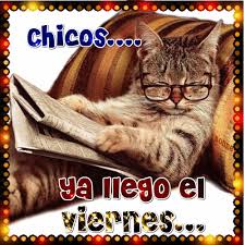 Resultado de imagen para glitter y movimiento para grupos gabitos  gatitos