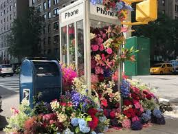 Check spelling or type a new query. Upper West Side Phone Booth Transformed Into Overflowing Flower Display Gothamist