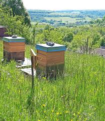 Das haus lochfeld in wittersheim ist ein kulturlandschaftszentrum, das den menschen den kulturlandschaftsschutz näherbringt. Zu Besuch Bei Den Honigmacherinnen Im Haus Lochfeld