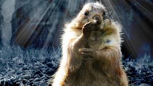 According to tradition and lore, groundhog day is when you find out whether spring is on its way or whether you've got six more weeks before winter runs its course. Groundhog Day Is Astronomy S Cross Quarter Day Astronomy Essentials Earthsky
