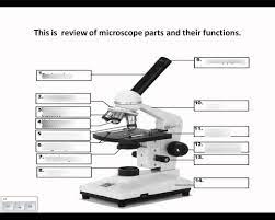 May 15, 2021 · brightfield microscope definition. Microscope Labelling Review Diagram Quizlet