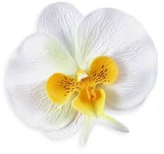 10x Large White Butterfly Orchids Heads 3 75 Fabric Phalaenopsis Artificial Flower Silk Flower Wedding Decoration En 2020 Flores Orquideas Gomitas