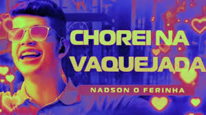 Rodolfo Mello canta zezo.Chorei Na Vaquejada (cover)