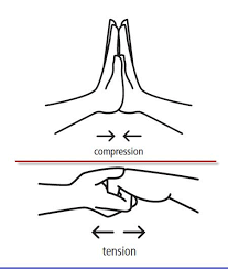 Forces Compression And Tension Force Teaching Technology Grade 3 Science