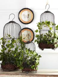 Hanging Bird Cage Decor Ideas Curly Ivy Bird Cage Bird Cage Decor Hanging Bird Cage Bird Cage Design