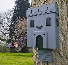 Photos and story by carla brown. You Can Get A Bat House That S Made To Look Like A Vampire Castle