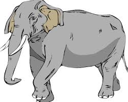 Ab nur 4 euro auf gruppenkarten bei dieser zoo berlin aktion : Der Zoo Von Munchen Der Tierpark Hellabrunn Besucherinfos