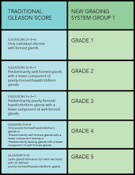 Prostate cancer is one of the most common types of cancer diagnosed in men. Gleason Score Prostate Conditions