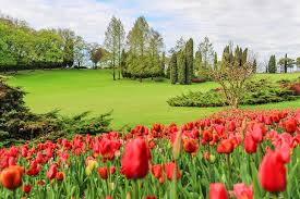 Position :italy ›› agriculture ›› list of flowers & plants companies in italy. 13 Most Beautiful Gardens In Italy Planetware