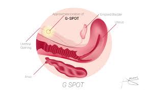 Maybe you would like to learn more about one of these? Bet Didinti Data G Spot Exit Mp3 Sofoslovosakcija Net