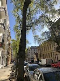 Wie sind die erfahrungen bei den nutzern? Mietwohnung Berlin Ebay Kleinanzeigen