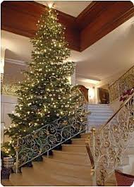 Large Indoor Christmas Tree This Is Beautiful Indoor Christmas Lights Christmas Lights Inside Farmhouse Christmas Decor