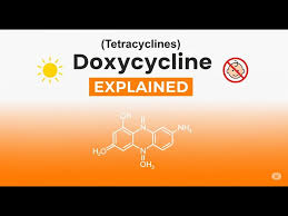Image result for Tetracyclines