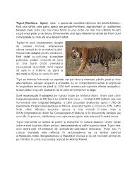 Hercules locuiește momentan la myrtle beach safari, o rezervație de viață sălbatică aflată în south carolina, sua. Tigrul