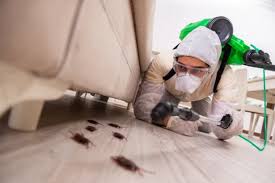 Keep reading to learn more. 5 Best Exterminators In San Diego