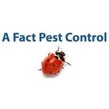 In victoria, tx provides complete bug and pest control services for all residential locations. A Fact Pest Termite Pest Control 78 Penn Ave Victoria Tx Phone Number