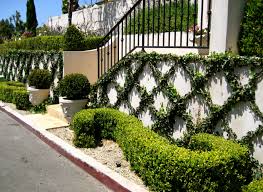 European Garden Design Parterre Scroll With Boxwood In A French Garden Parterre Garden Garden Design French Garden Design