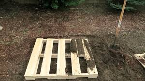 We did not find results for: Pallet Gardening 101 Creating A Pallet Garden One Hundred Dollars A Month